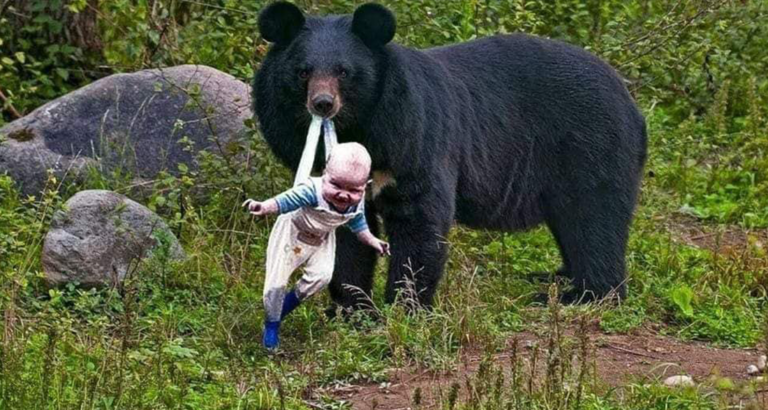 Bear Refuses To Let Baby Go – Ranger Bursts Into Tears When He Discovers Why