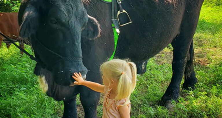 I recently spent $6,500 on this registered Black Angus bull.