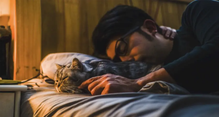 Vegan girlfriend demands boyfriend give away cat, gets ultimatum