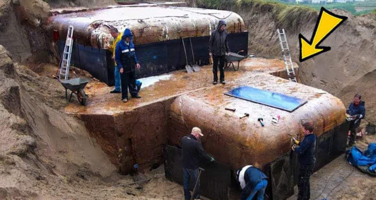 Woman Discovers Buried Bunker in Her Garden – Then She Sees Why…