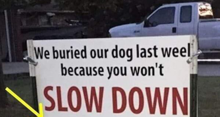 After dog is hit and killed by car, family’s brutal sign has the whole neighborhood talking