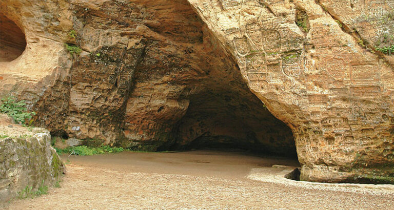 For 25 years, a man has been living alone in a cave with his dog. Take a look inside the cave now!