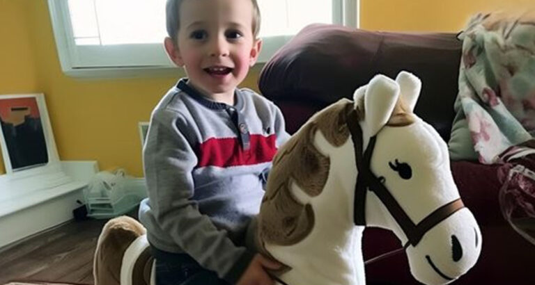 My Ex-husband Gifted Our Kid a Rocking Horse – When I Saw What Was Inside, I Called My Lawyer