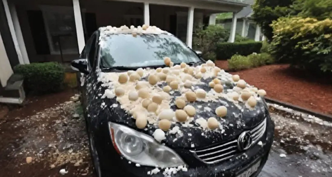 My Neighbor Threw Eggs at My Car Because It Was ‘Blocking the View’ of His Halloween Decorations