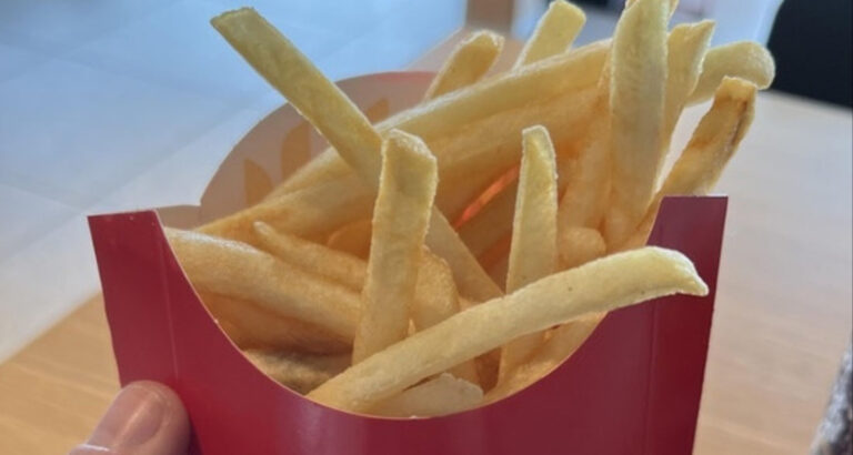 McDonald’s Customers Outraged After Discovering The Truth About How The Fries Are Cooked