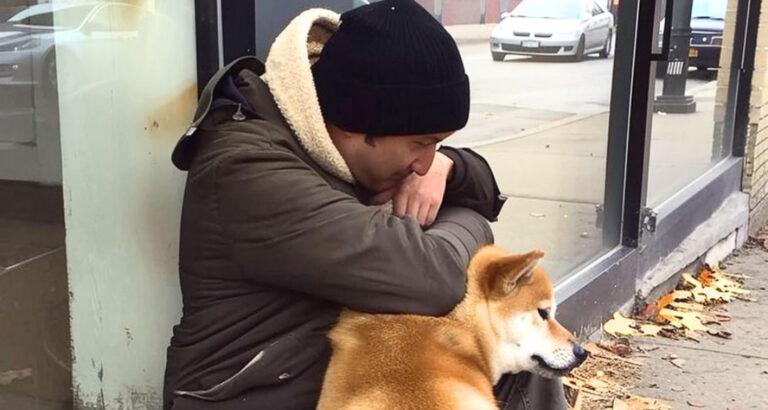 Dog Goes to Closed Store Daily then Leaves, One Evening Poor Boy Notices and Follows It