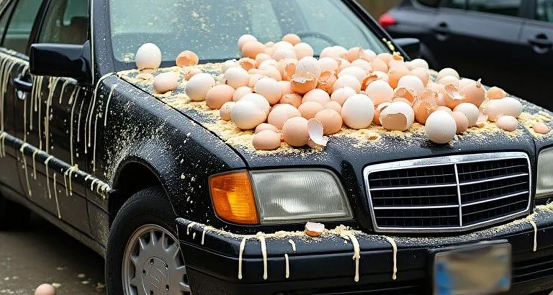 My crazy Neighbor covered my car with Eggs because of a silly reason