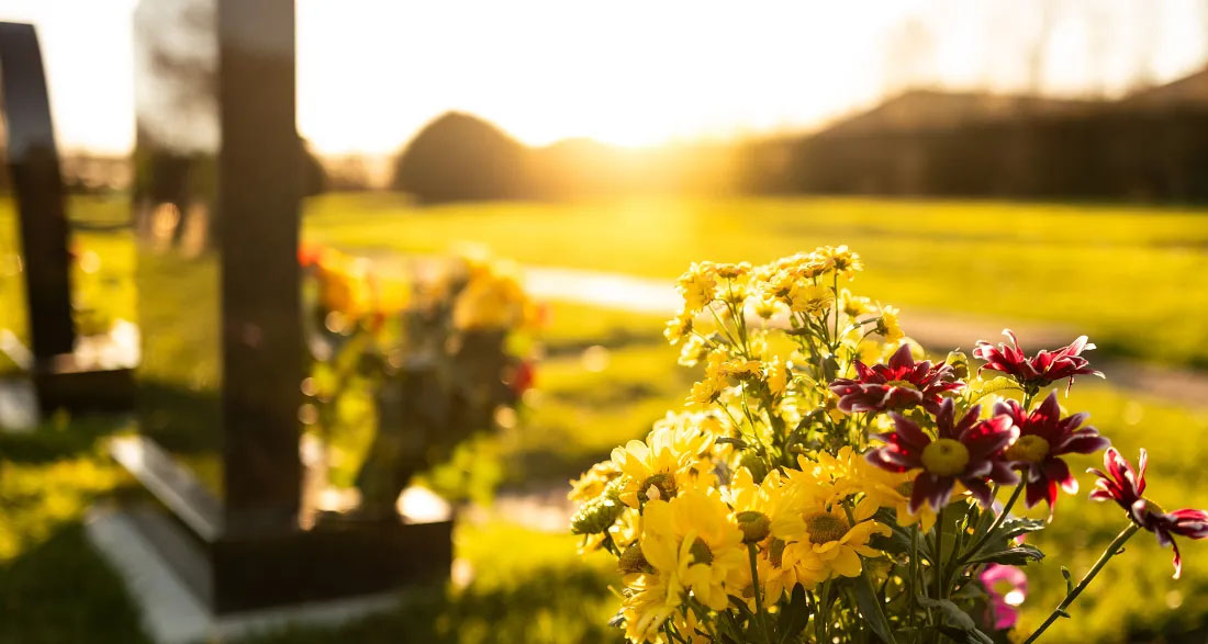 Every Week, I Found Children’s Gloves on My Father’s Grave – One Day, I Met a Teenager There