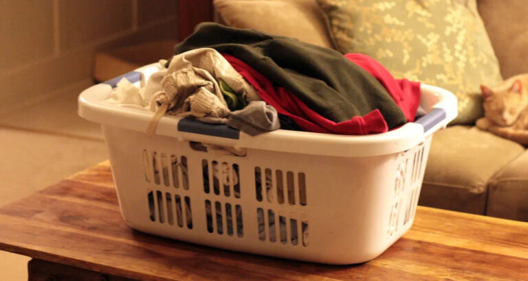 MIL Took Our Dirty Laundry Home While I Was Sick — I Couldn’t Believe What She Did with It, but Karma Took Care of It