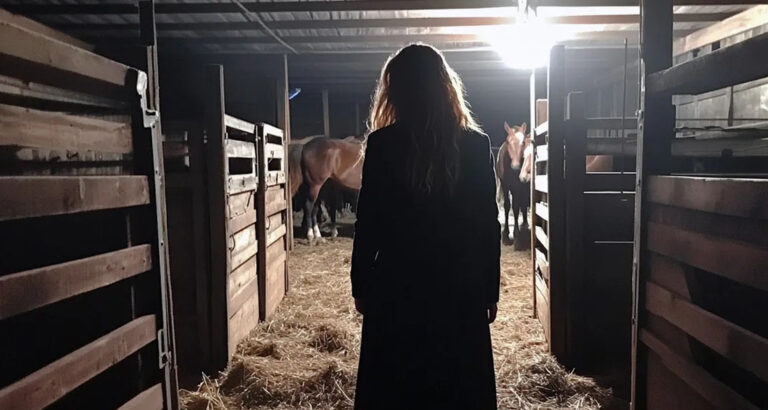 My Engaged Granddaughter Sneaked Into the Stable Every Night Until I Followed Her and Regretted It — Story of the Day