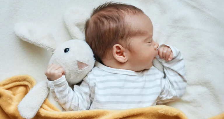 My Husband Begged for a Son and Promised to Stay Home with Him — but After the Baby Was Born, He Forced Me to Quit My Career