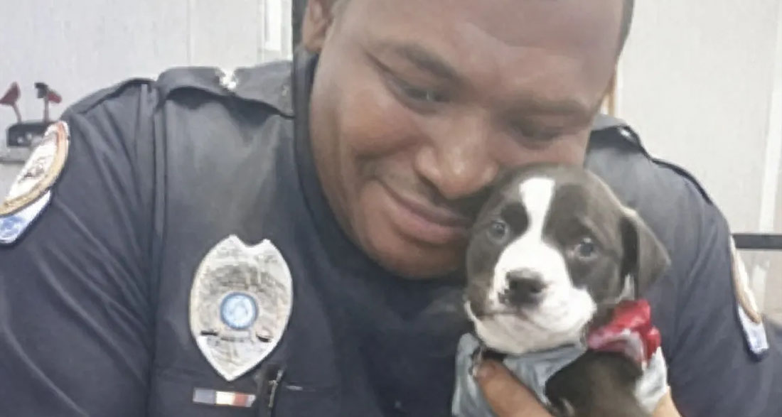 He found the abandoned puppy and then did something that no one thought he would do.