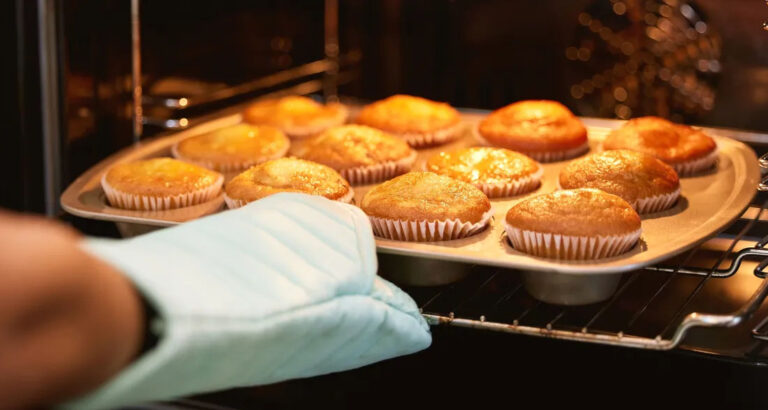 My Family Kicked Me Out of the Business My Grandfather Built — I Made Them Regret It