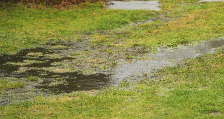 My Neighbor Secretly Redirected His Sewage into My Garden to Save Money — So I Gave Him a ‘Return to Sender’ Surprise He’ll Never Forget