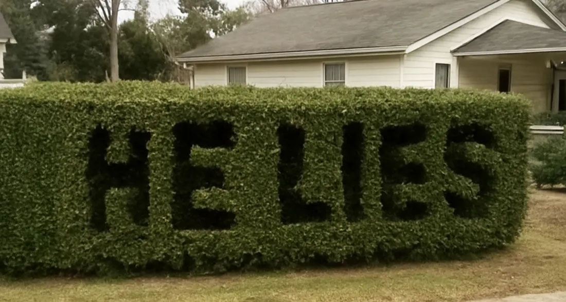 When I Got Home from a Work Trip, ‘He Lies’ Was Carved Into My Hedge – Then I Found a Note Explaining Everything