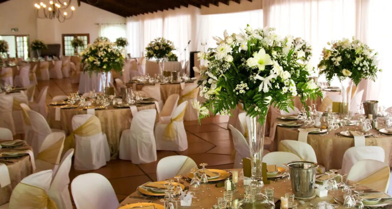 During Our Wedding Ceremony, My Mom Yelled ‘I Object! Make the Groom Take Off His Shirt Right Now!’ – I Was Shocked When He Did