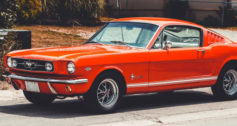 My Loud Neighbor Said, ‘I’ll Do What I Want in My Yard!’ — So I Used My Yard to Teach Him a Lesson