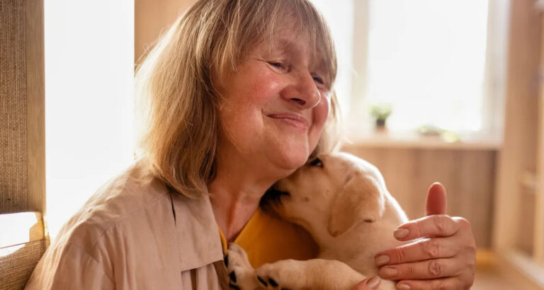 My MIL’s Dog Was Driving Me Crazy in My Own Home — So I Took Control with One Simple Fix