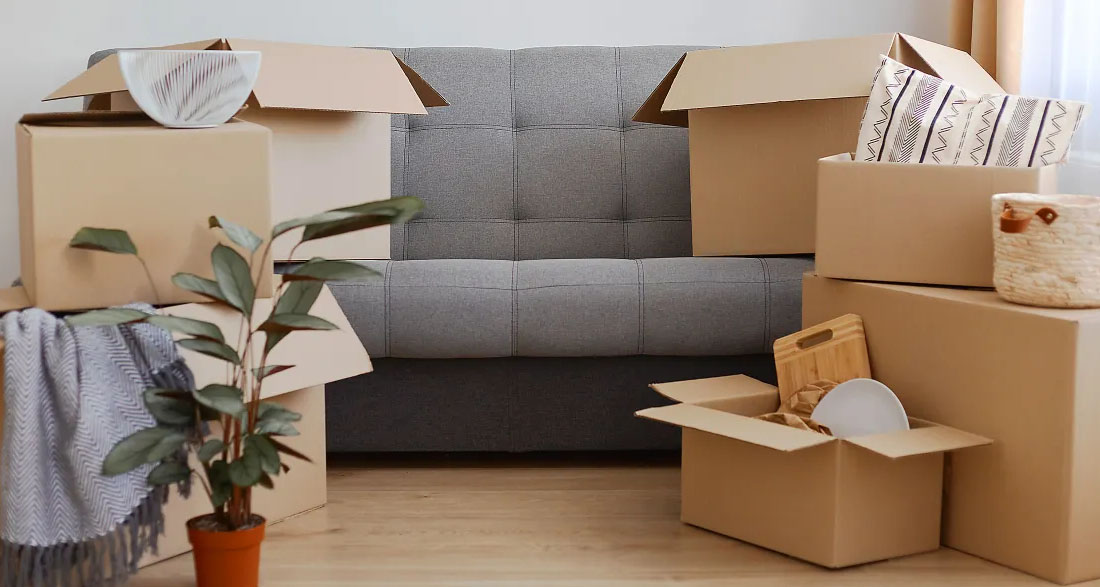 I Asked My Girlfriend to Move In With Me – What She Did on Moving Day Shocked Me to the Core