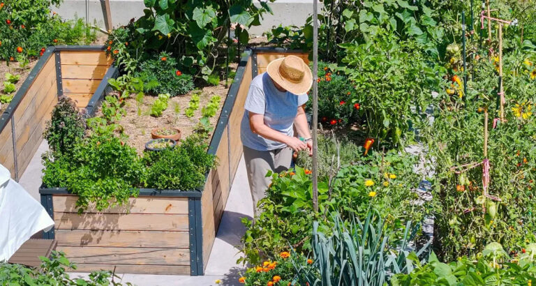 My Entitled Neighbors Kept Stealing from My Garden — So I Came Up with Something They Didn’t Like at All