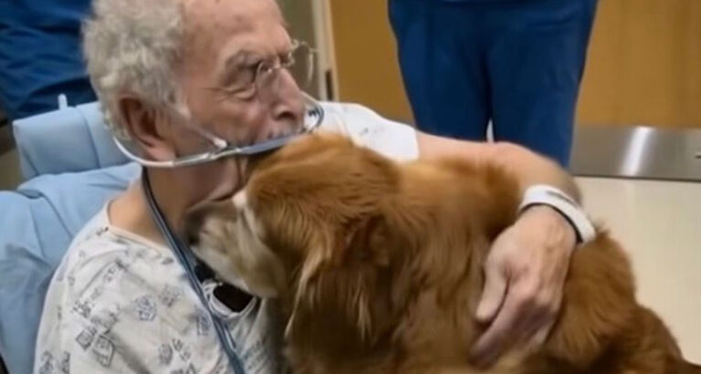 We didn’t think he’d make it through the night.