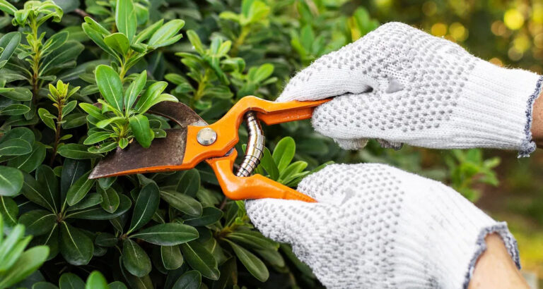 My BIL Mocked My Husband for ‘Playing Gardener’ – Only for My BIL to Have My Husband as His New Boss Two Days Later