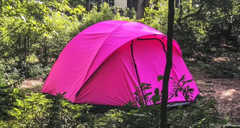 I Returned Home from My Daughter’s Funeral to Find a Tent in My Backyard — I Went Pale at What I Found Inside