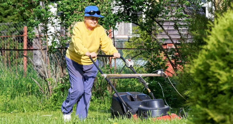 My HOA President Fined Me for My Lawn – I Gave Him a Reason to Keep Looking