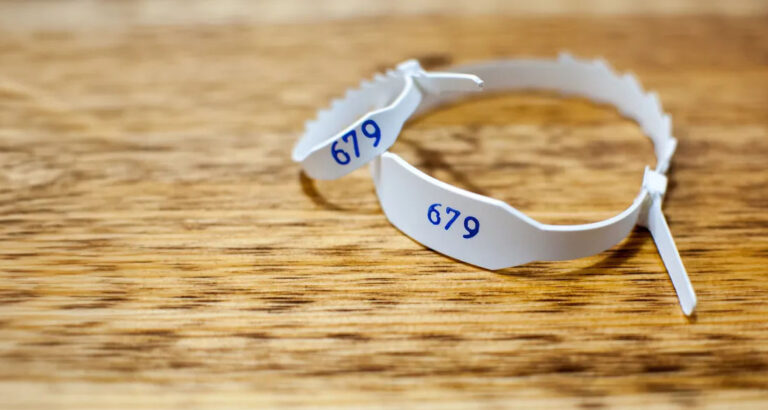 ‘Find Your Sister,’ My Mom Whispered with Her Last Breath, but I Was an Only Child – Story of the Day