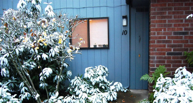 My Mom Abandoned Me With My Dad – 22 Years Later She Showed Up On Our Doorstep And Handed Me An Envelope