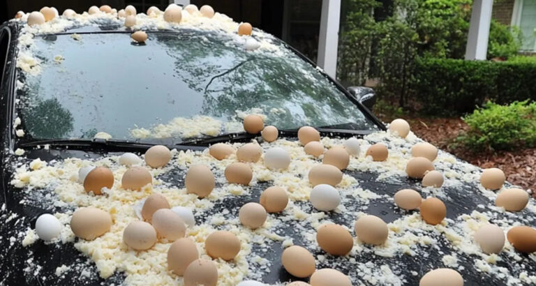 My Neighbor Threw Eggs at My Car Because It Was ‘Blocking the View’ of His Halloween Decorations
