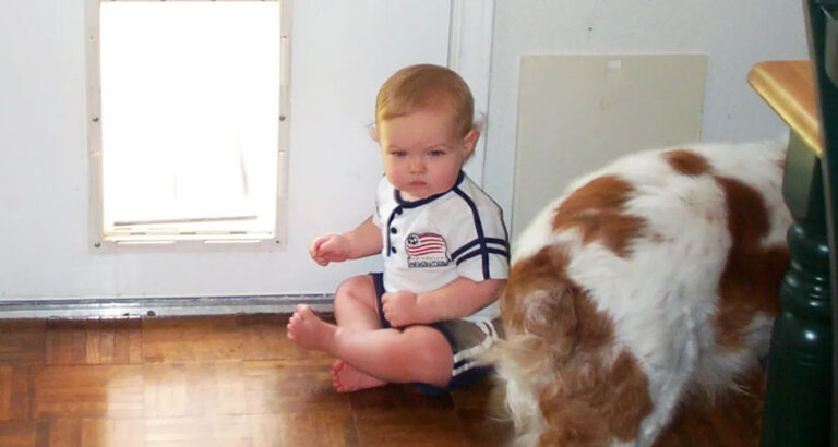 My SIL Sent Her 3-Year-Old Into My House Through the Doggy Door – When I Found Out Why, My Blood Boiled