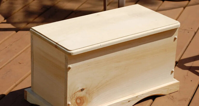 On Our Honeymoon, I Found My Husband Sleeping with a Wooden Box – When I Opened It, I Demanded a Divorce