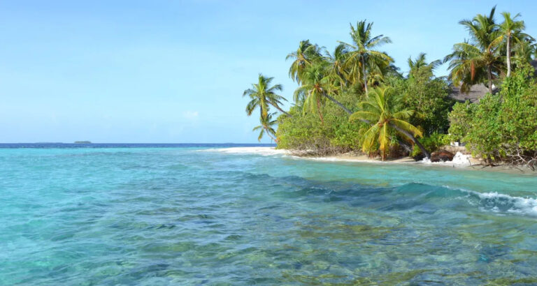 My Husband Left Me During Chemo for His Mom’s Luxury Thanksgiving Trip – Then Karma Hit Them Hard