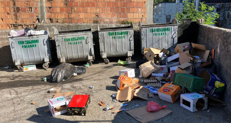 Fifteen Years After My Divorce, I Found My Ex-Mother-in-Law Digging Through a Dumpster