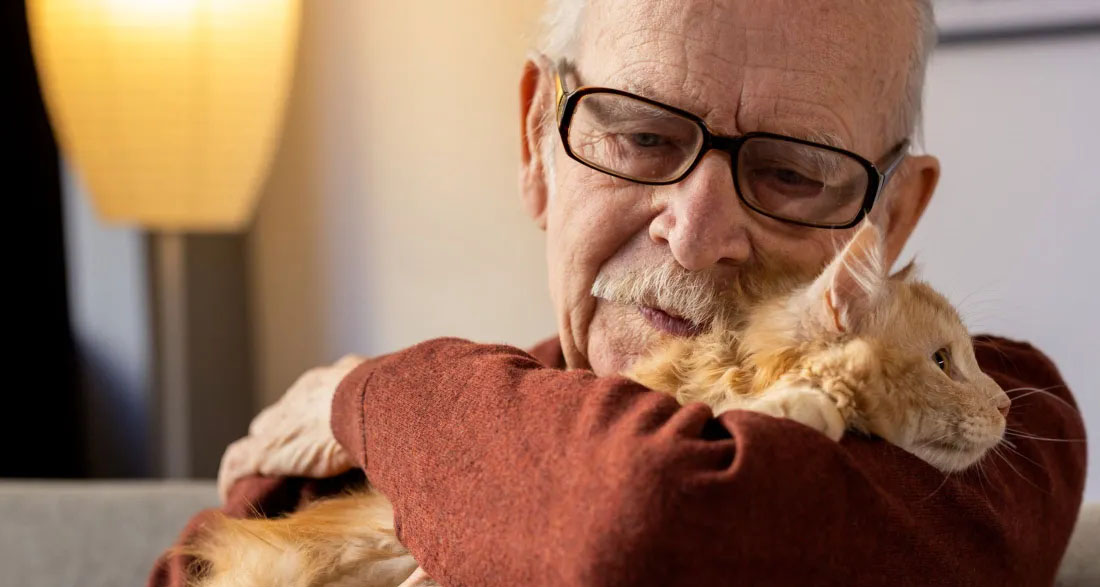 My Neighbor Disappeared After Asking Me to Watch His Cat – Then I Discovered a Key Hidden in Its Collar